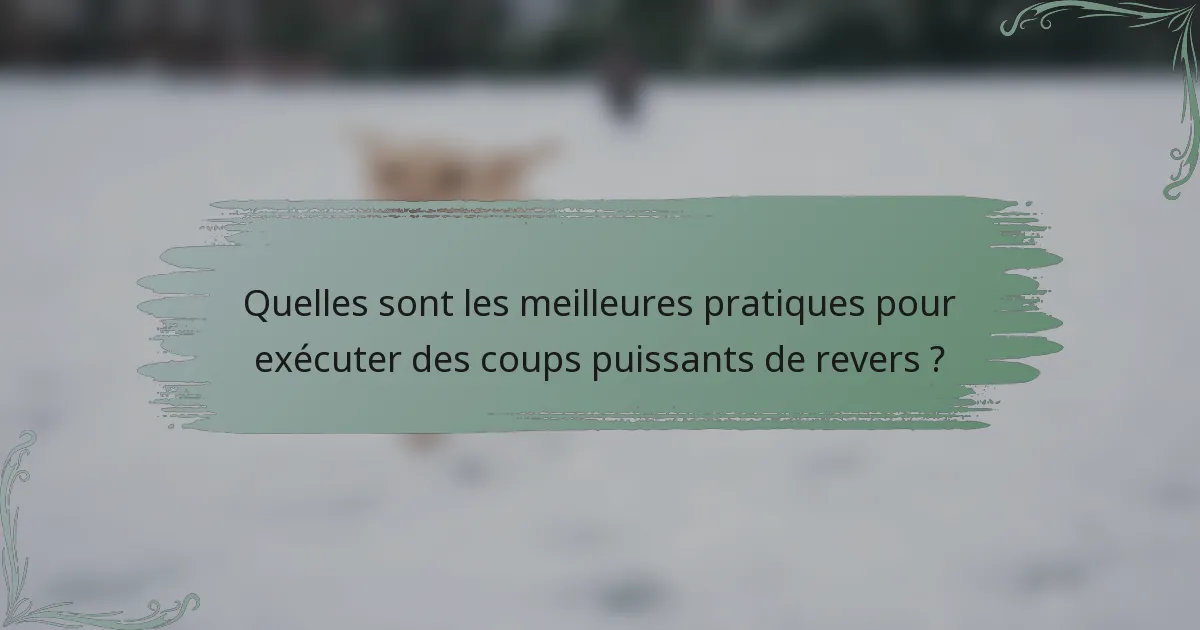Quelles sont les meilleures pratiques pour exécuter des coups puissants de revers ?